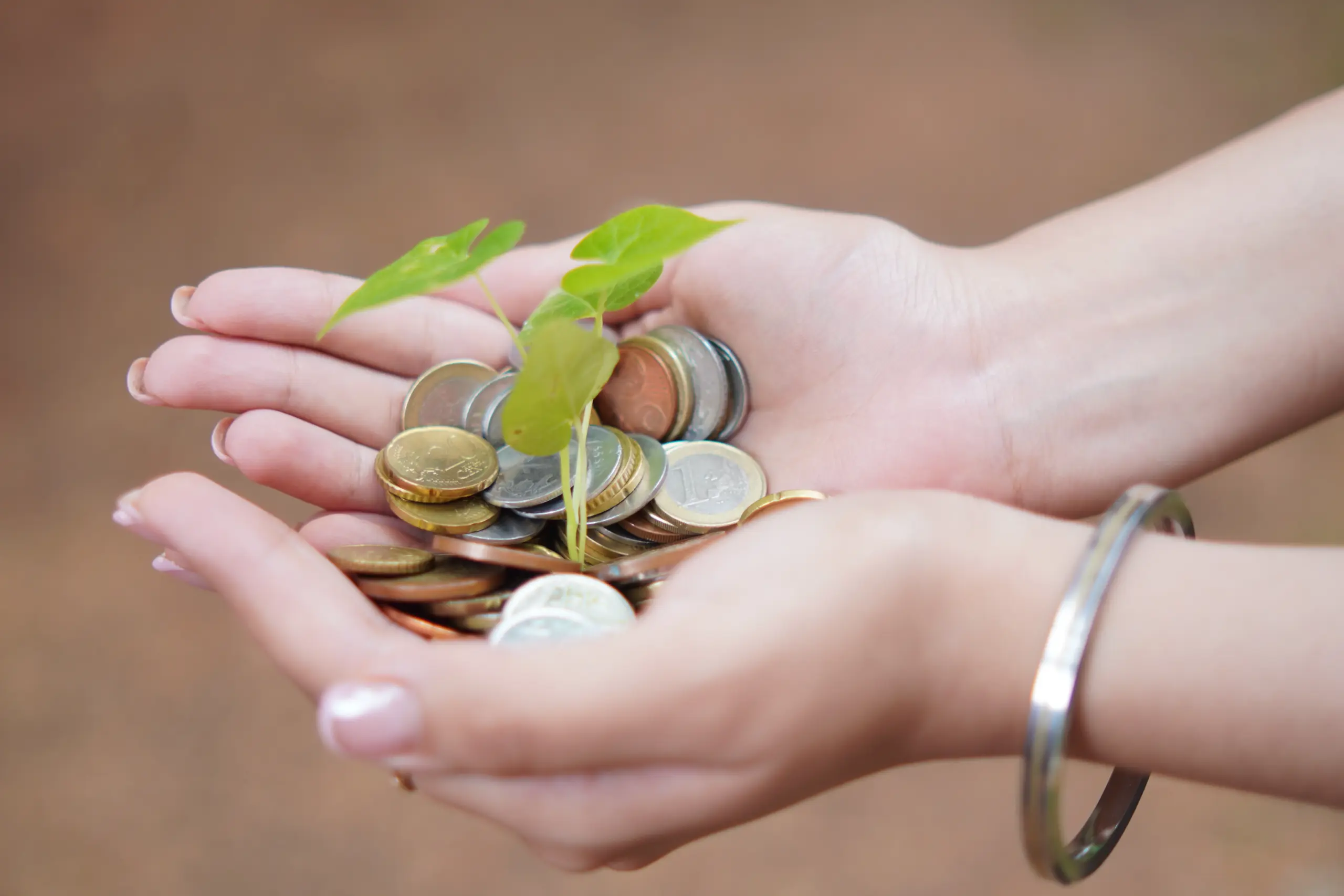 Money & Abundance Healing